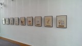 IMAG0351