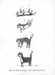 cat_righteous