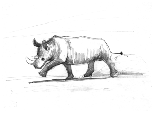 Rhino